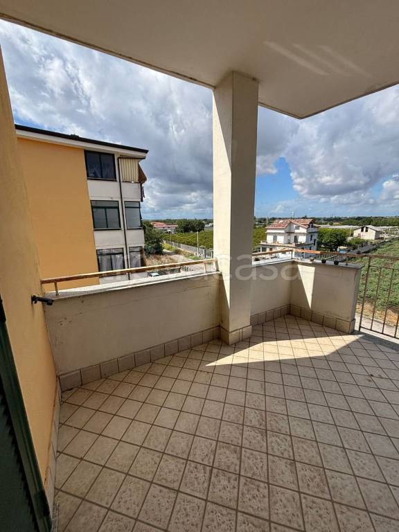 immagine annuncio 4 di 14