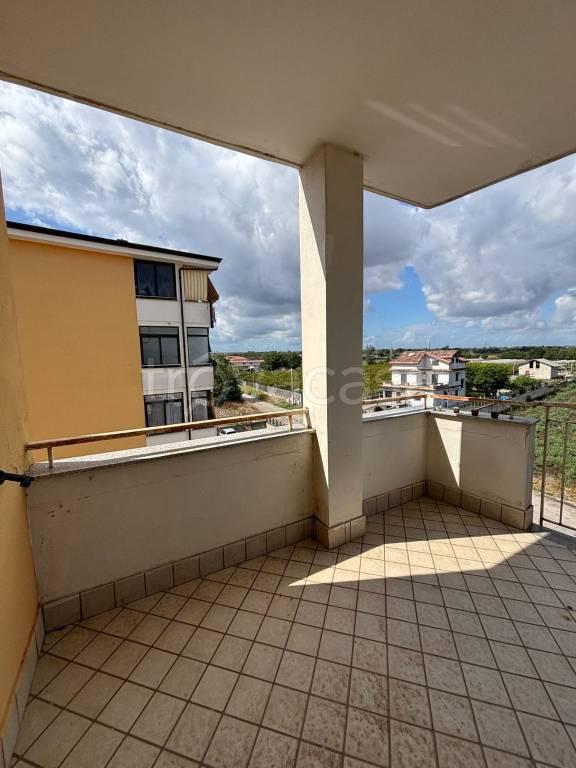 immagine annuncio 9 di 14