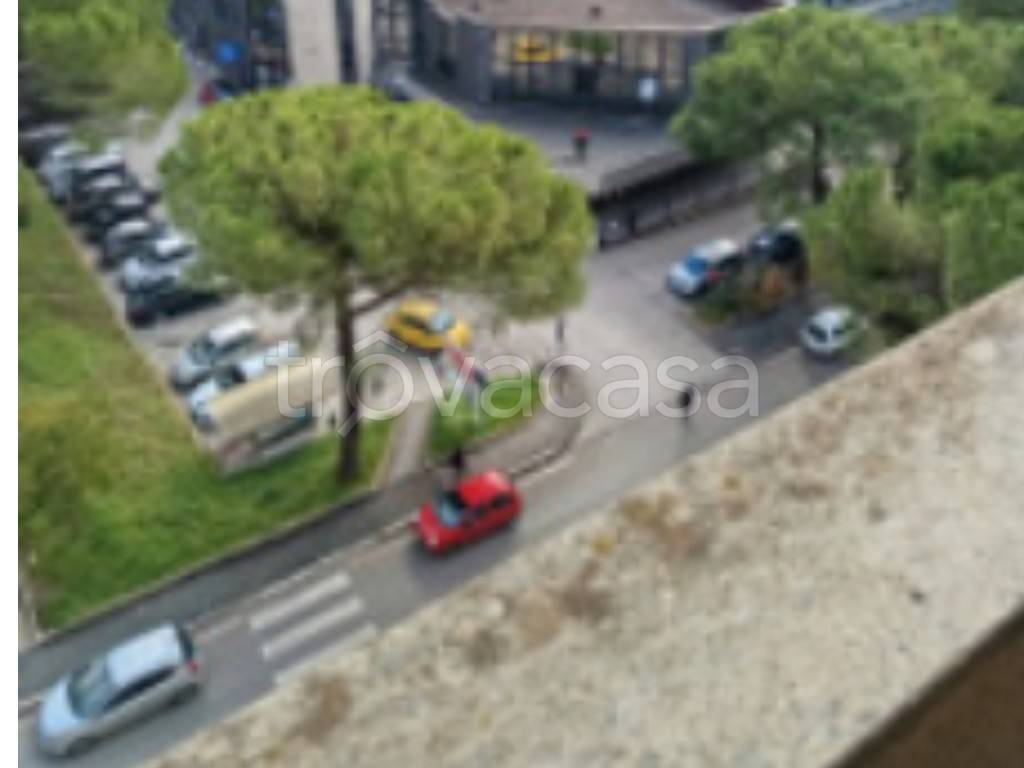 immagine annuncio 7 di 14
