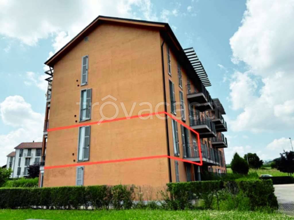 immagine annuncio 1 di 14