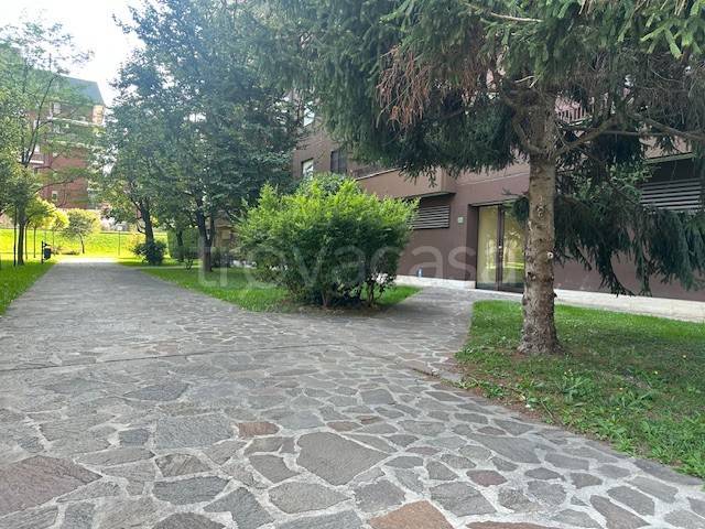 immagine annuncio 8 di 15