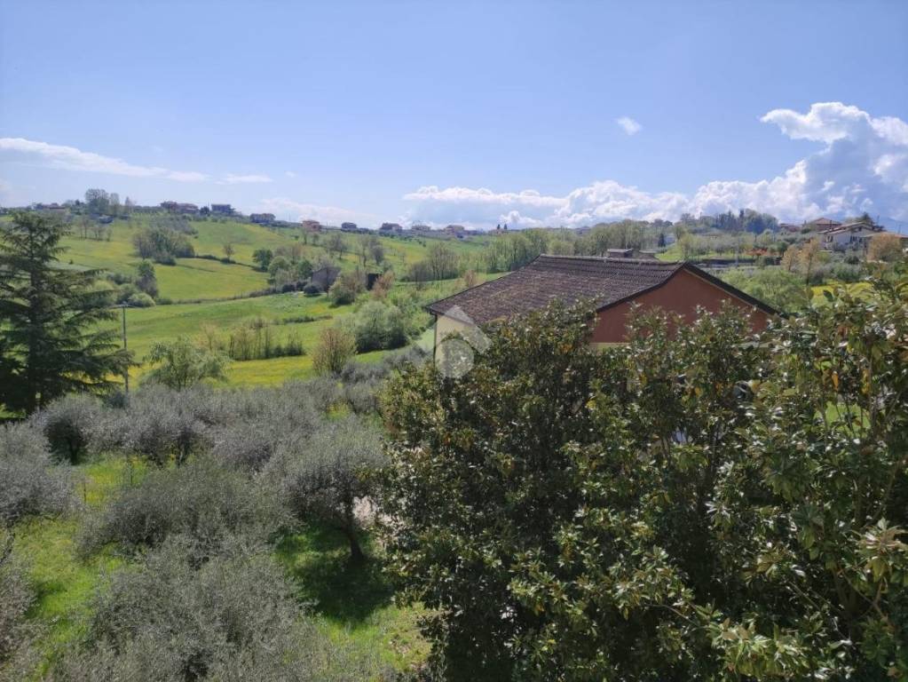 immagine annuncio 12 di 14