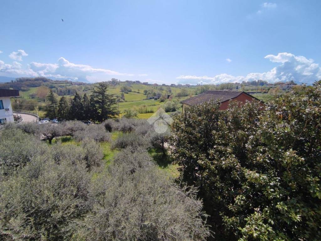 immagine annuncio 13 di 14