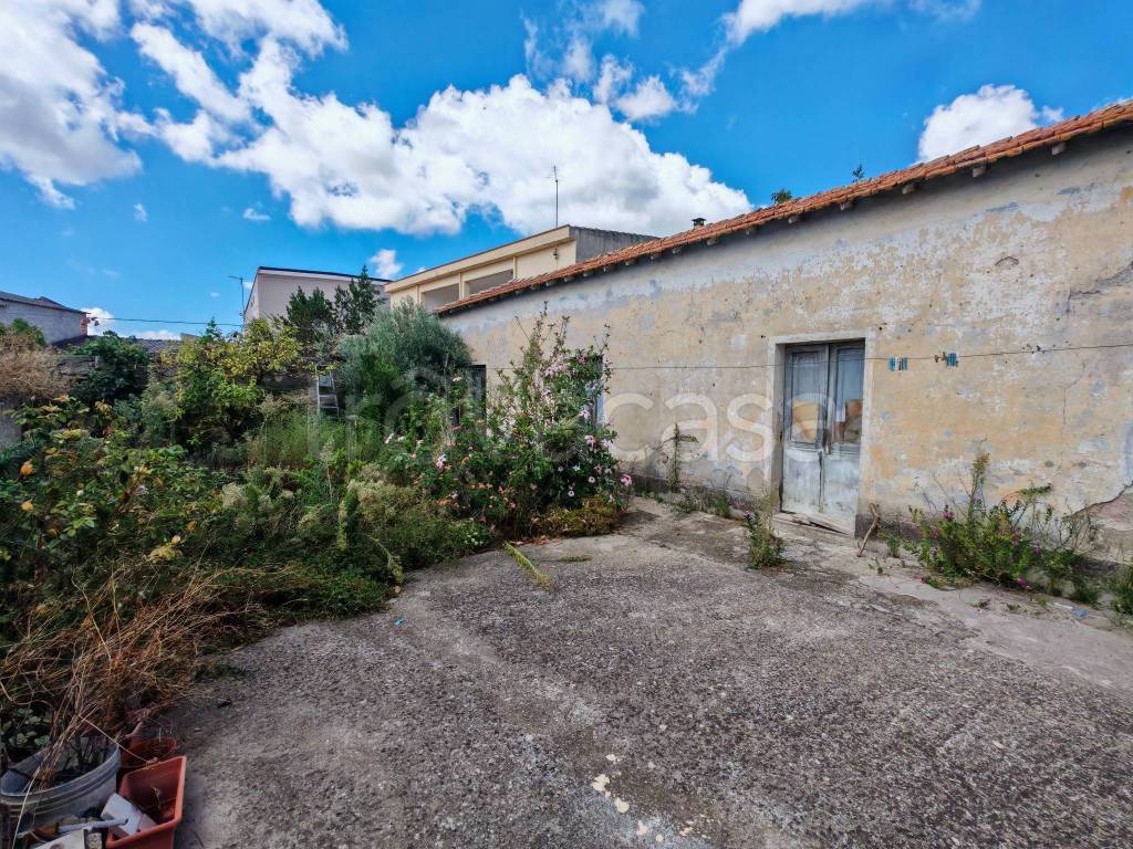 immagine annuncio 11 di 14