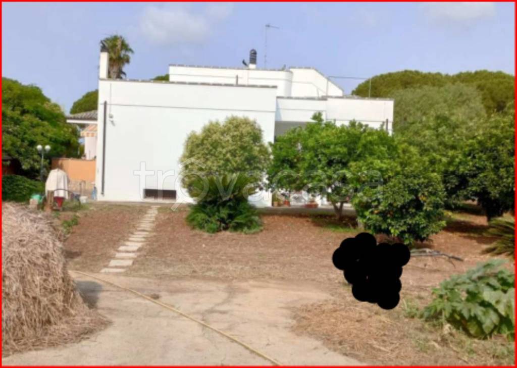 immagine annuncio 3 di 12