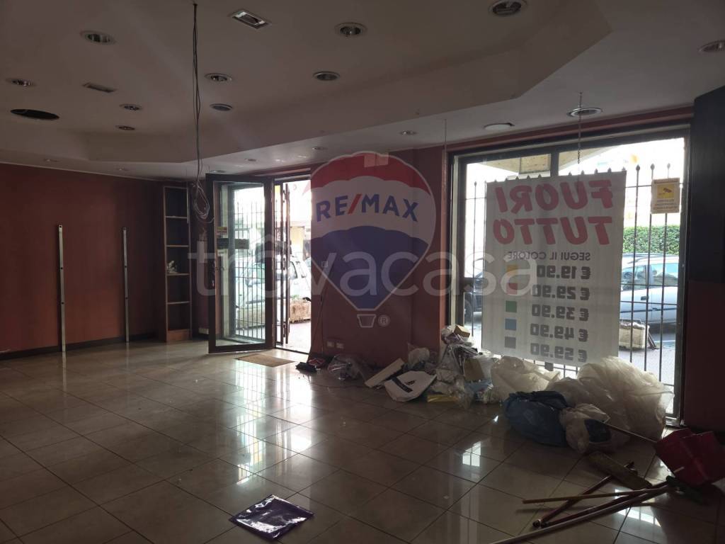 immagine annuncio 11 di 14