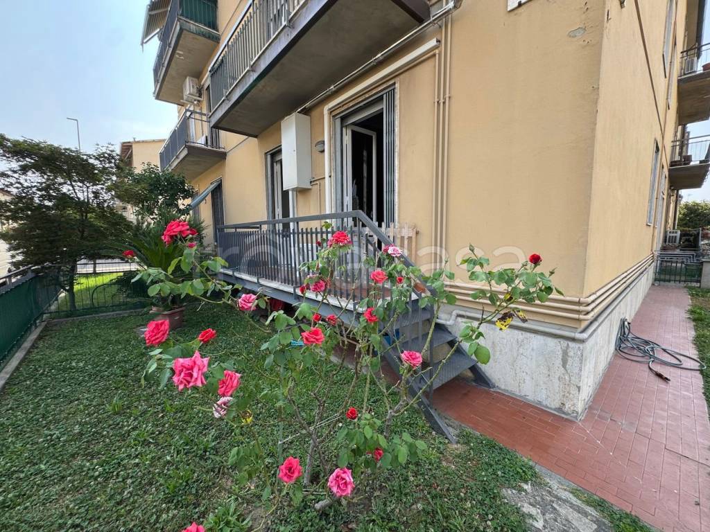 immagine annuncio 9 di 15
