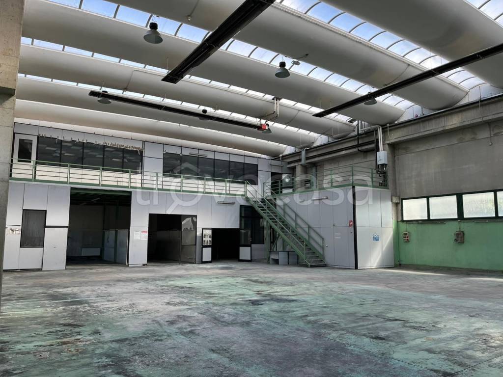 immagine annuncio 9 di 15