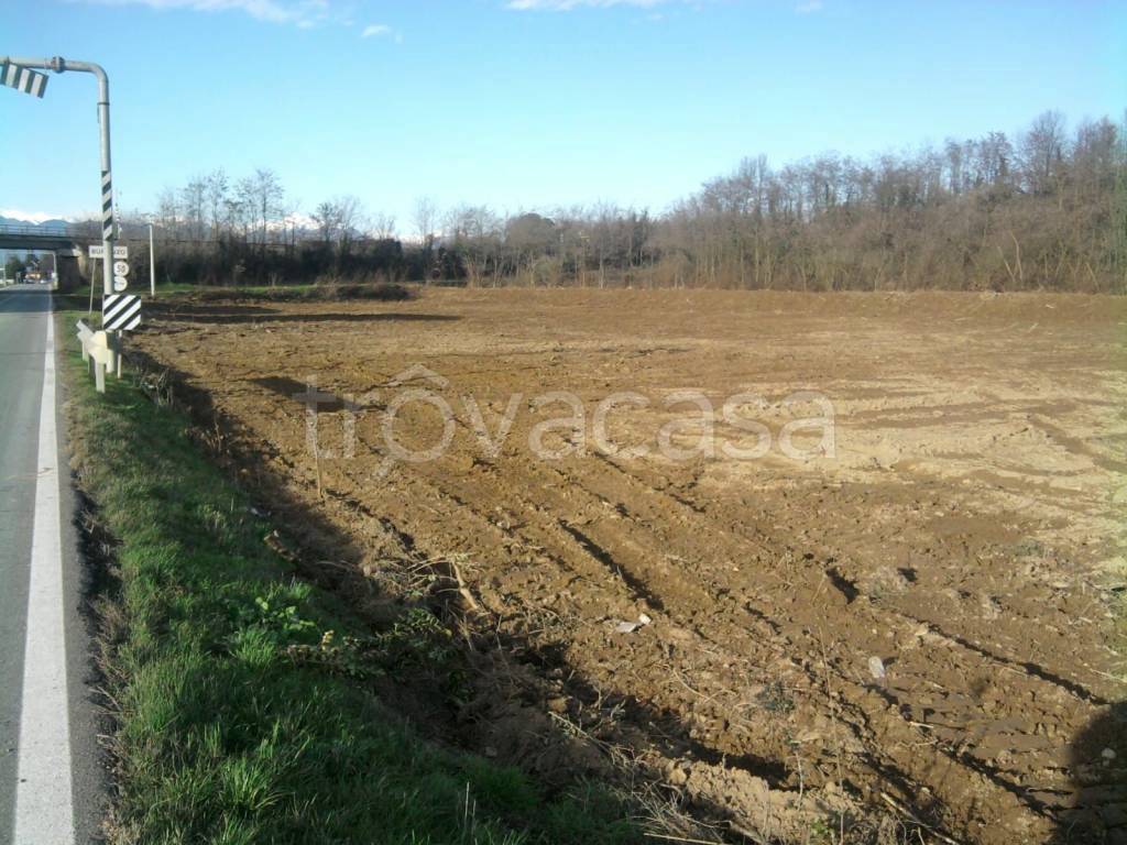 immagine annuncio 2 di 7