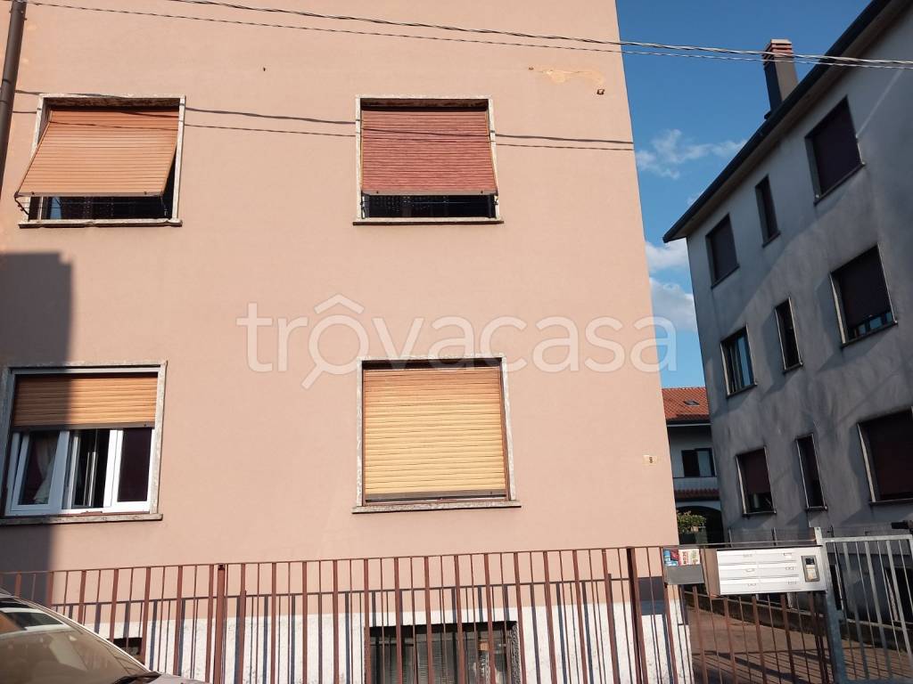 immagine annuncio 1 di 14