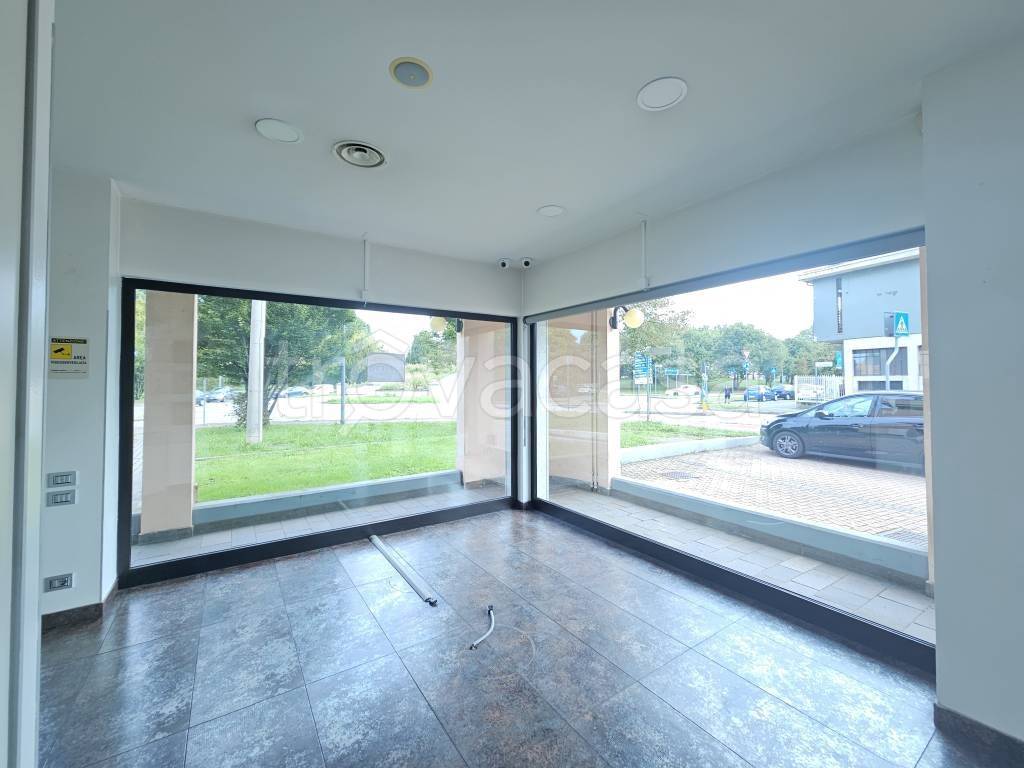 immagine annuncio 7 di 8