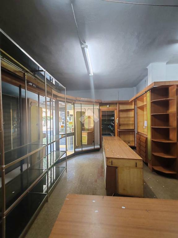 immagine annuncio 11 di 14