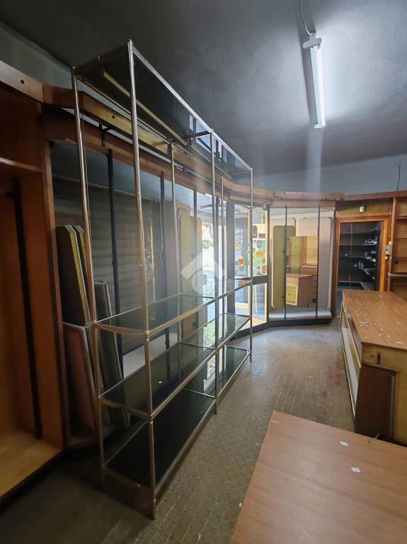 immagine annuncio 12 di 14