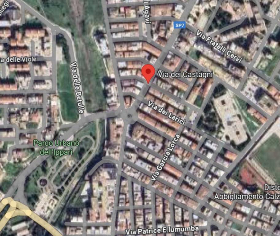 immagine annuncio 7 di 11
