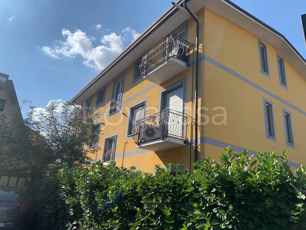 immagine annuncio 7 di 8