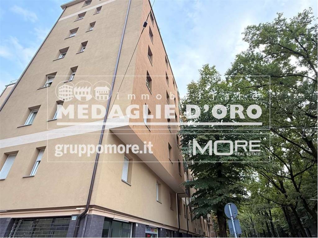 immagine annuncio 9 di 12