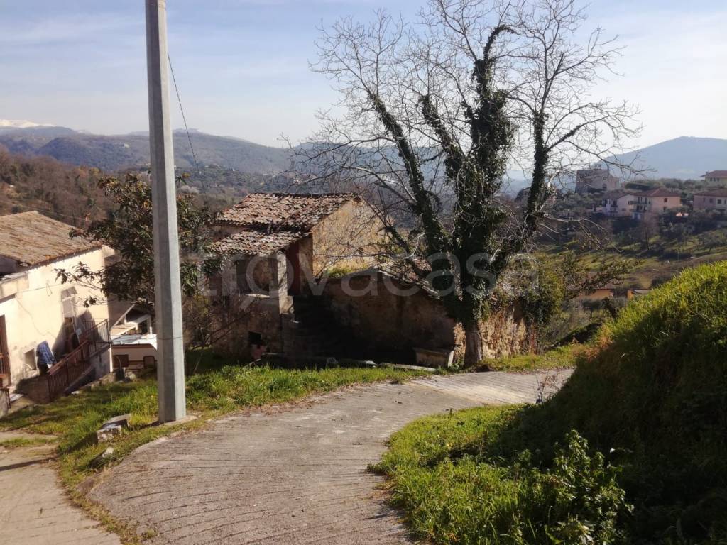 immagine annuncio 2 di 8