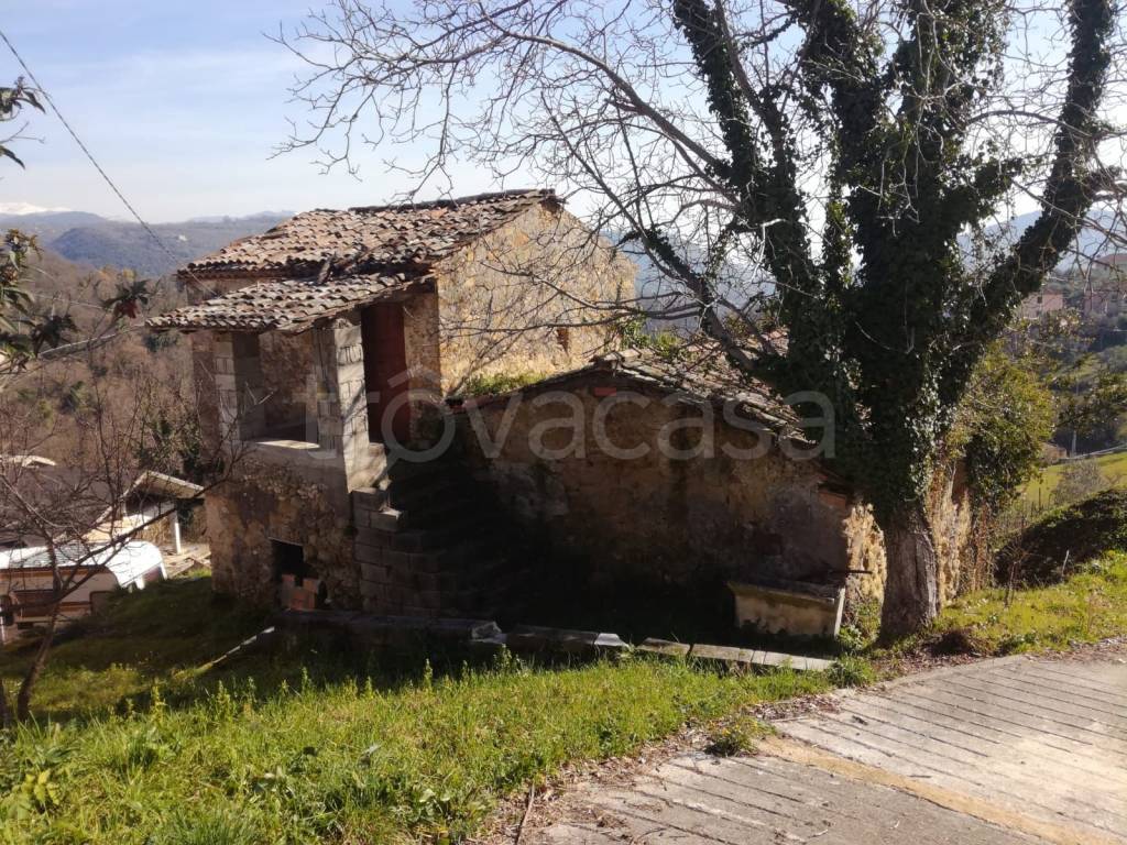 immagine annuncio 3 di 8