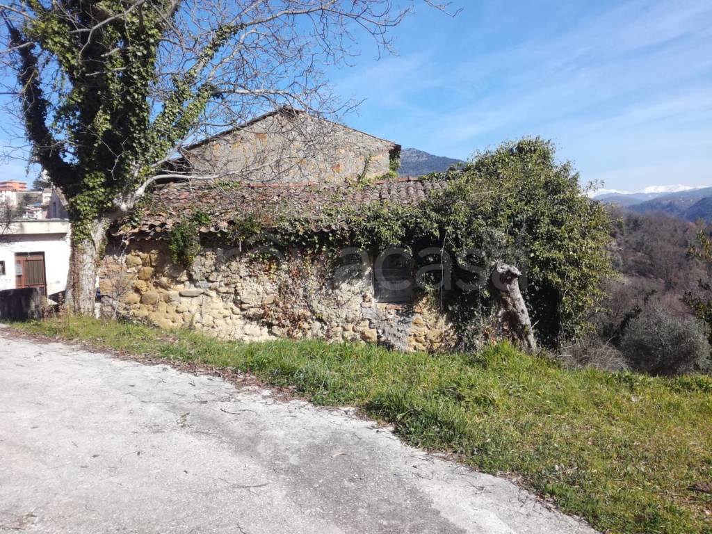 immagine annuncio 4 di 8