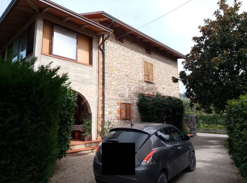 immagine annuncio 5 di 12