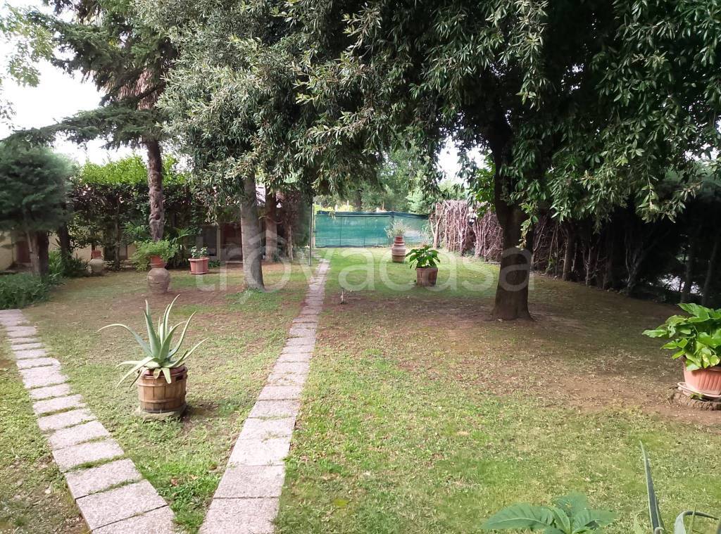 immagine annuncio 8 di 12