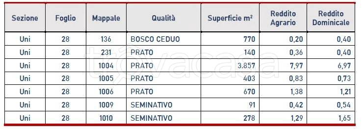 immagine annuncio 1 di 2