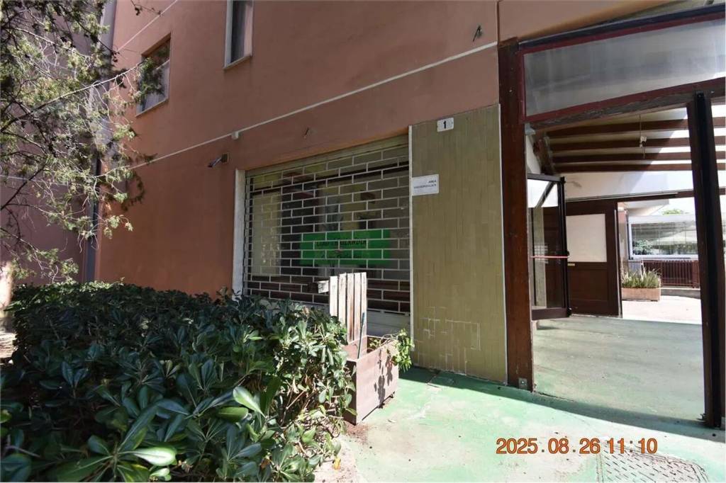 immagine annuncio 5 di 11