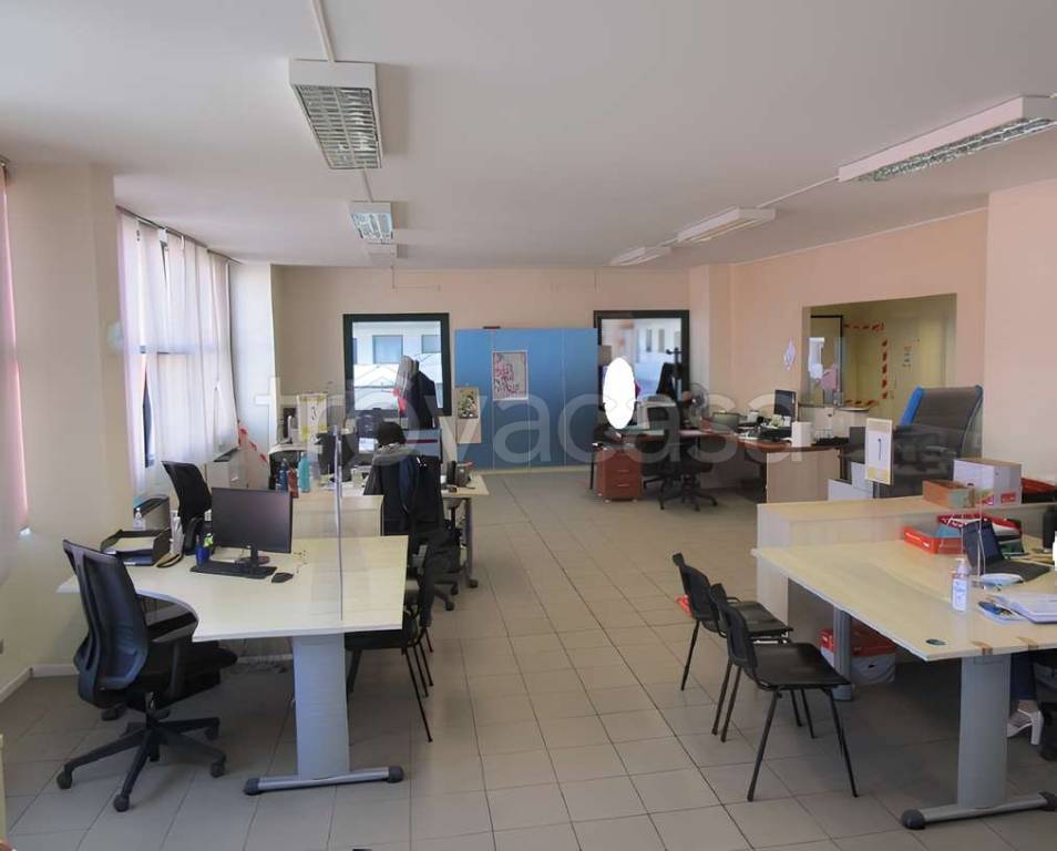 immagine annuncio 3 di 9