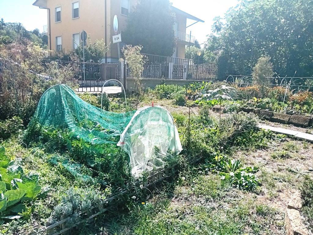 immagine annuncio 11 di 15