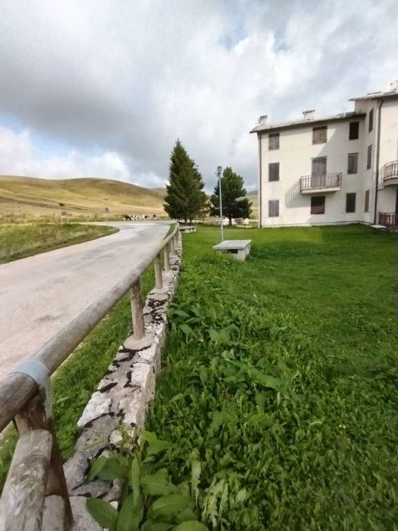 immagine annuncio 1 di 7