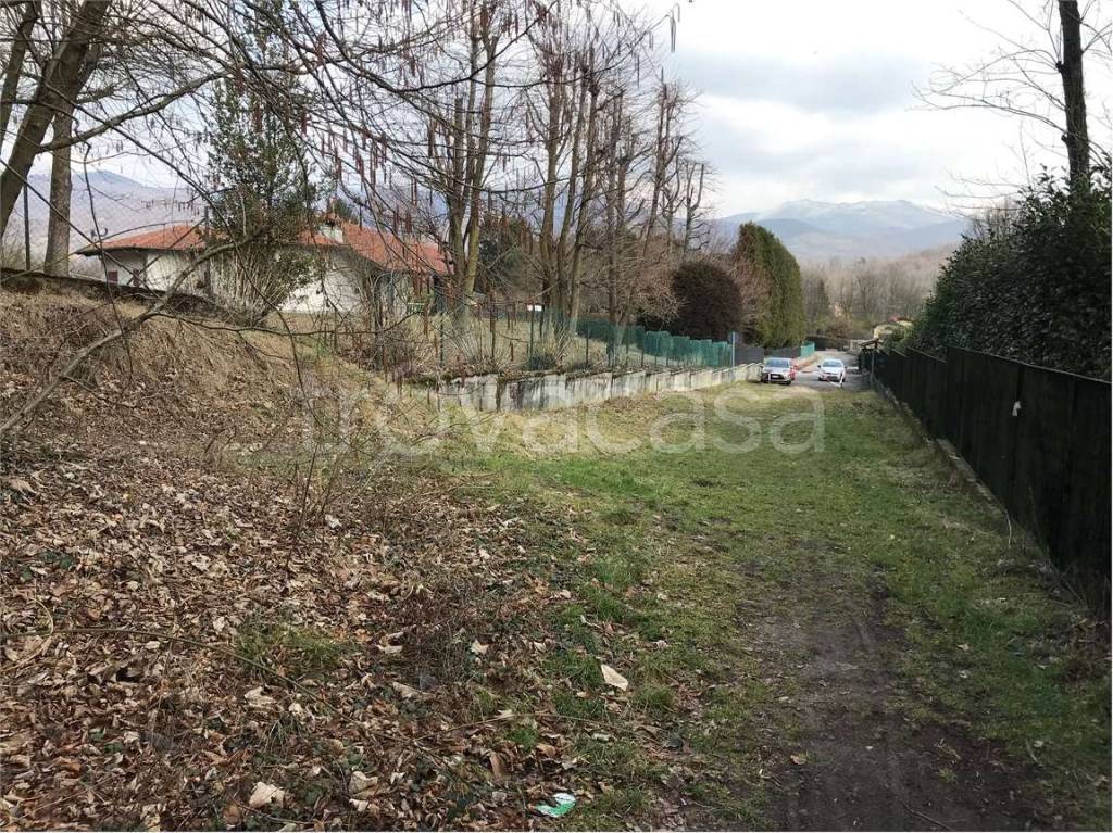 immagine annuncio 3 di 7