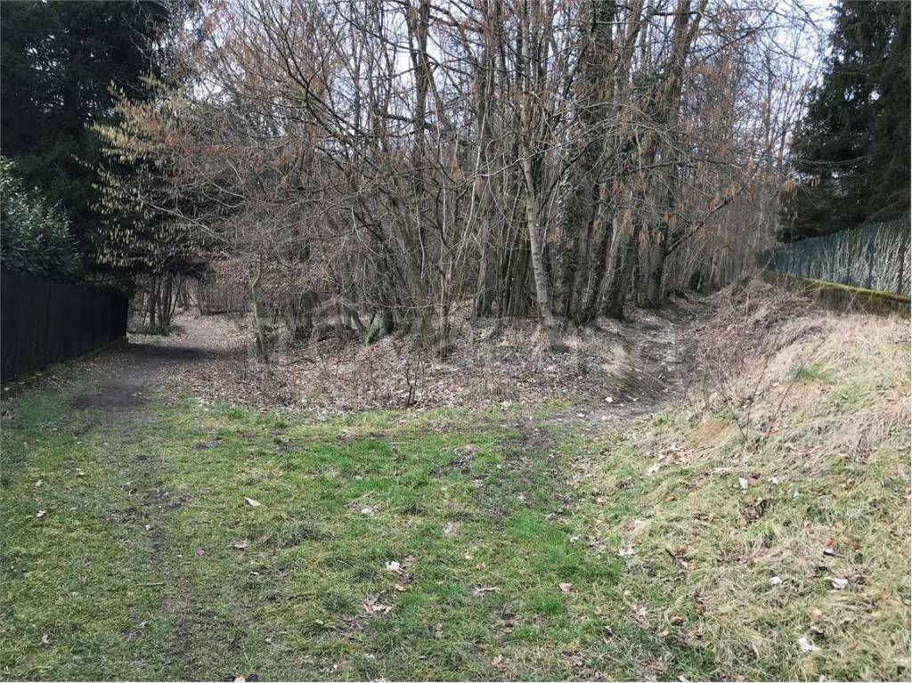 immagine annuncio 5 di 7