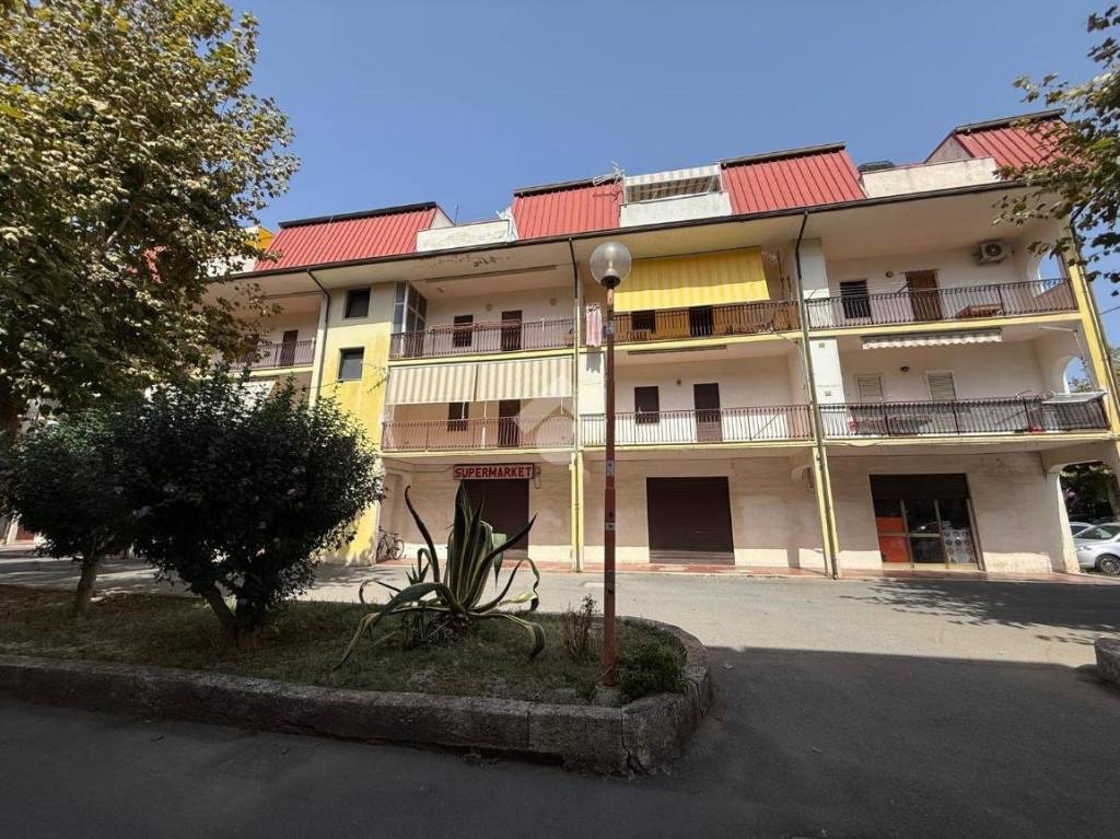 immagine annuncio 12 di 15