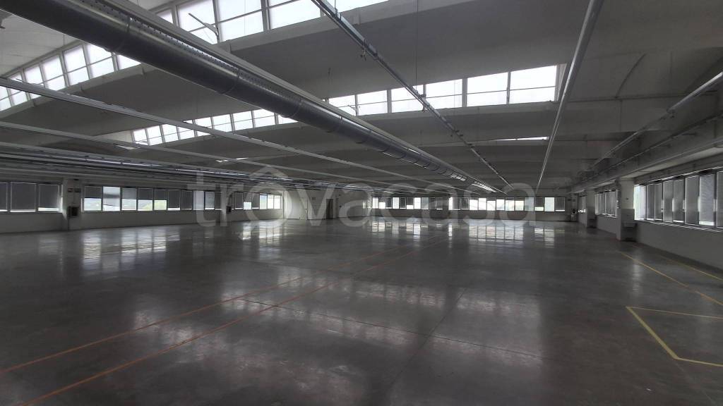 immagine annuncio 4 di 14