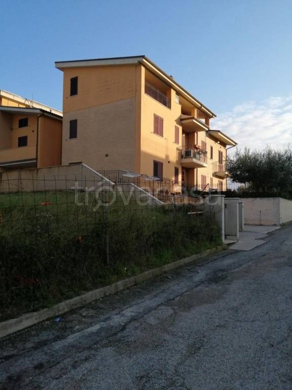 immagine annuncio 1 di 12