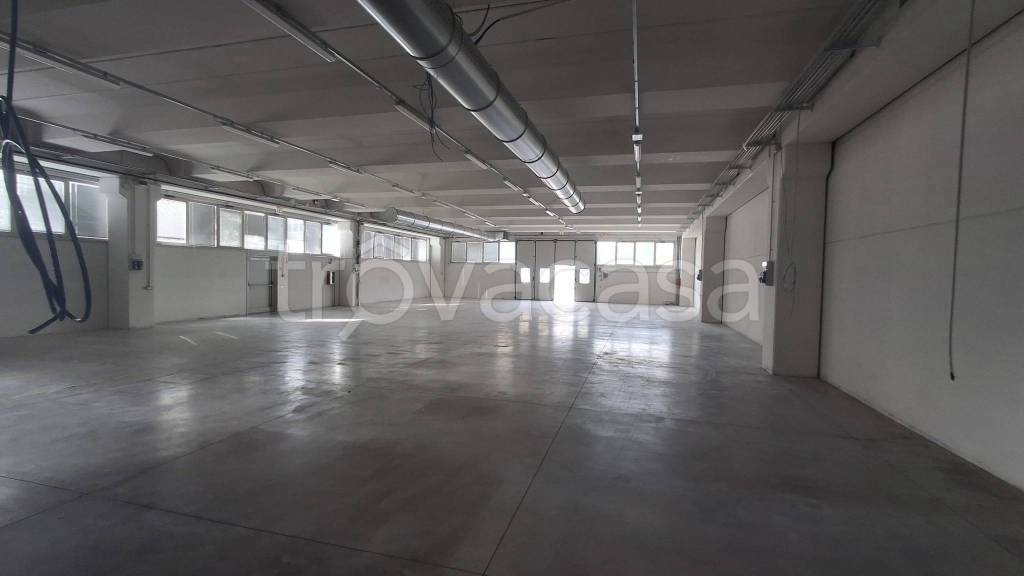 immagine annuncio 7 di 14