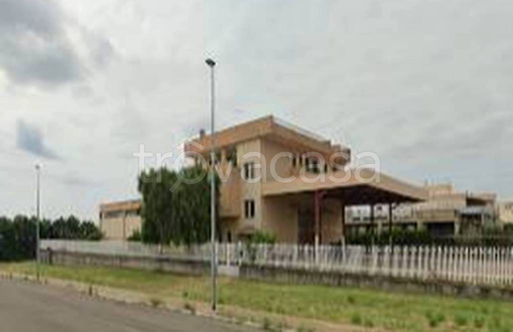immagine annuncio 7 di 11