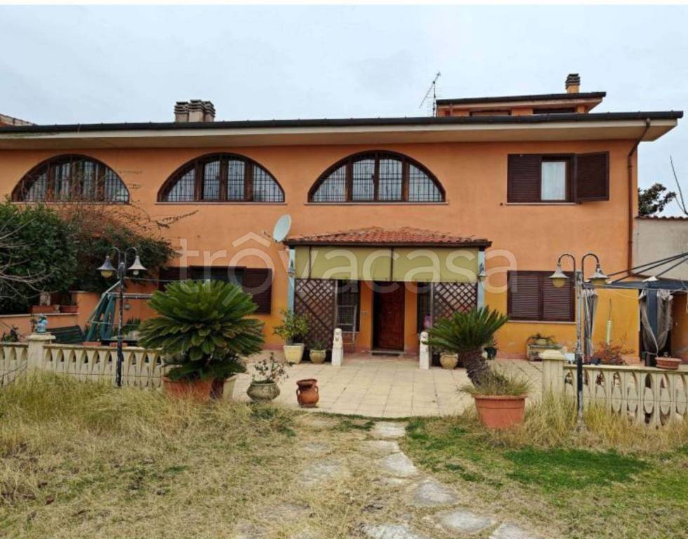 immagine annuncio 2 di 12