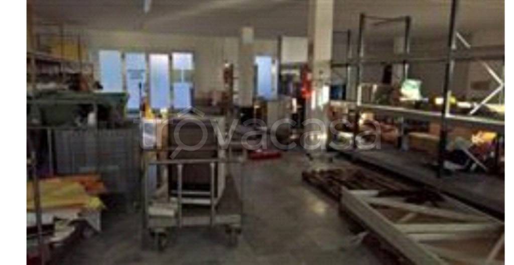 immagine annuncio 4 di 13