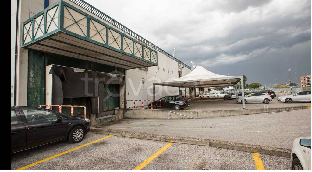 immagine annuncio 3 di 14