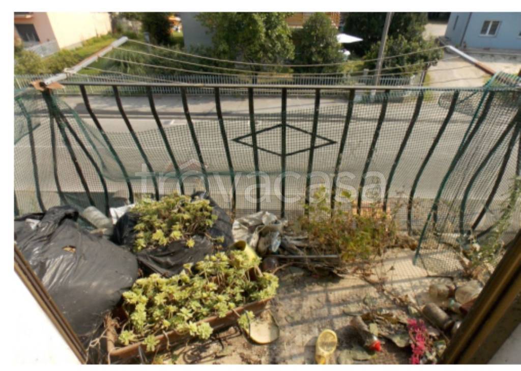 immagine annuncio 7 di 14