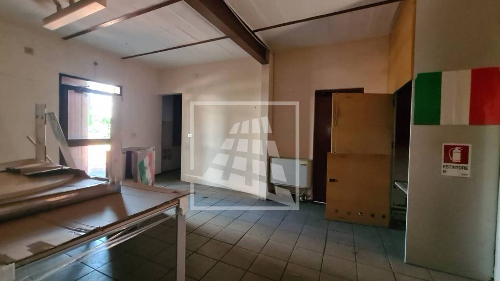 immagine annuncio 6 di 14