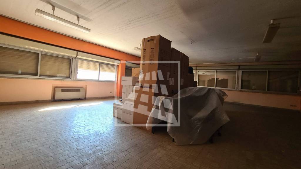 immagine annuncio 9 di 14