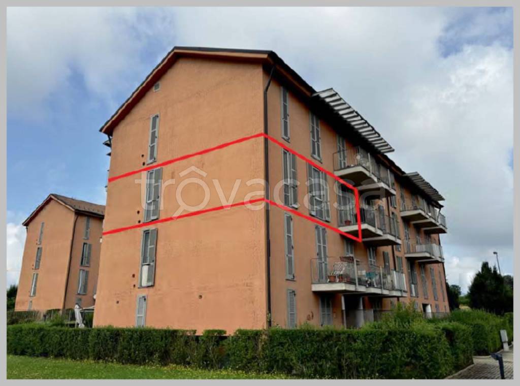 immagine annuncio 5 di 15