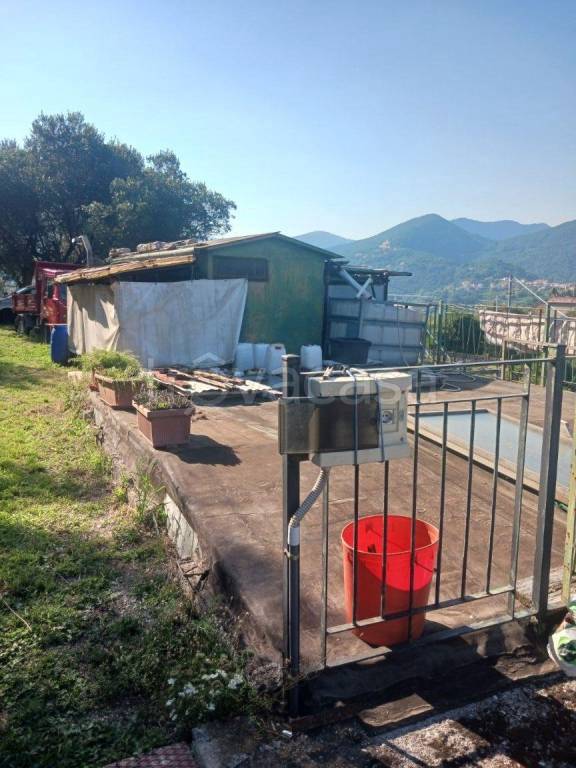 immagine annuncio 3 di 9