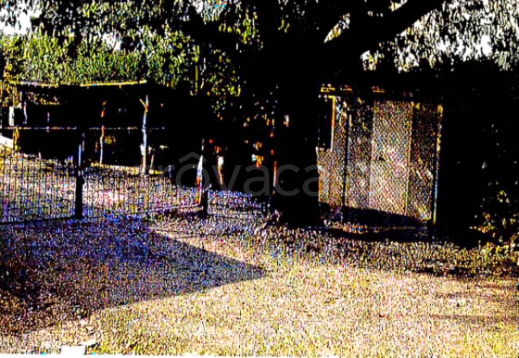 immagine annuncio 3 di 11