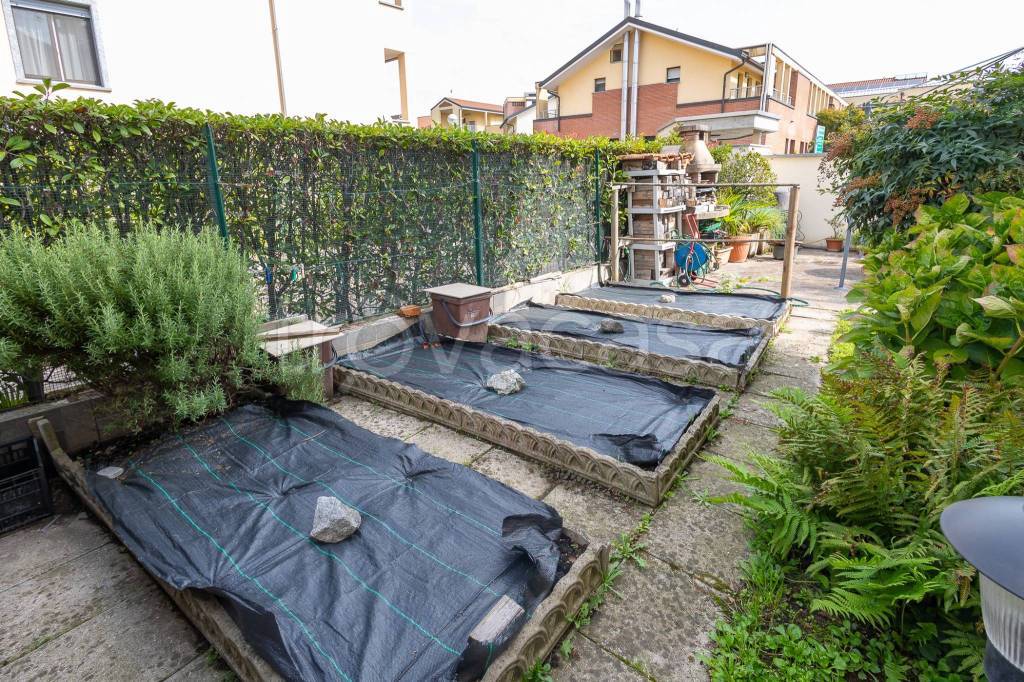 immagine annuncio 7 di 15