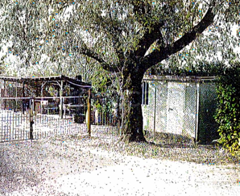 immagine annuncio 8 di 11