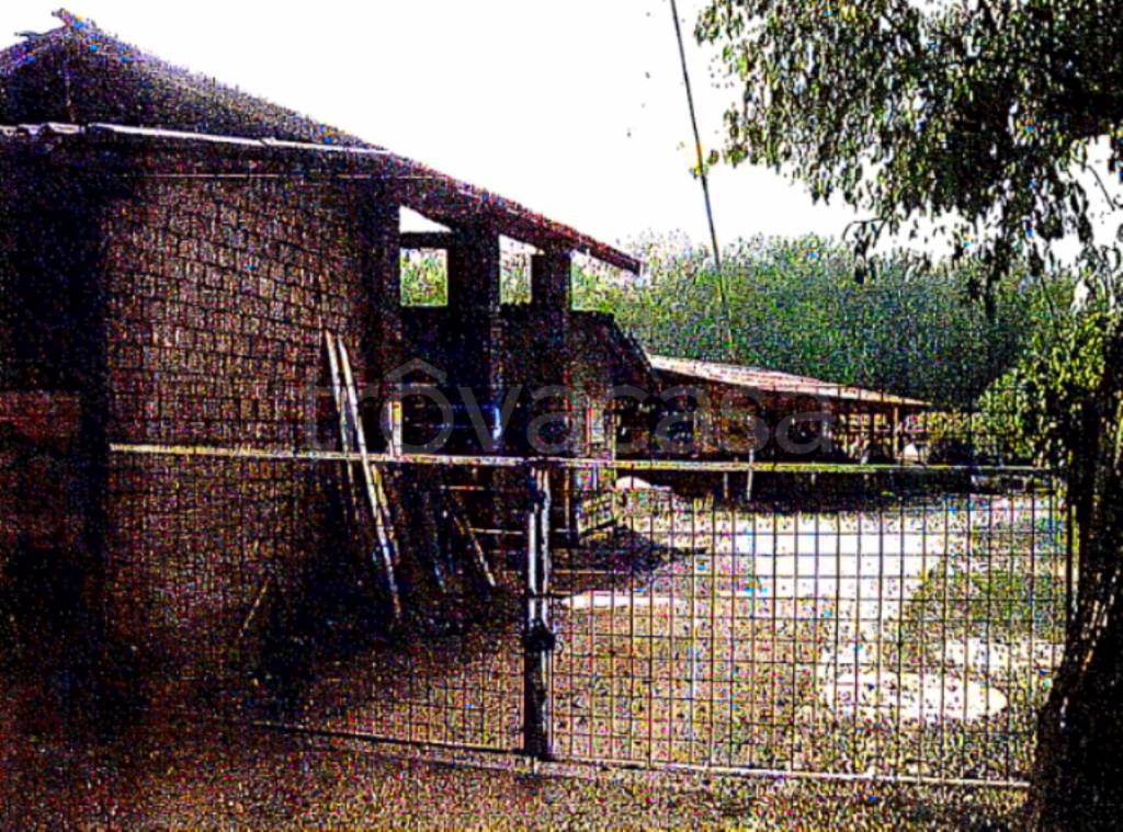 immagine annuncio 7 di 11