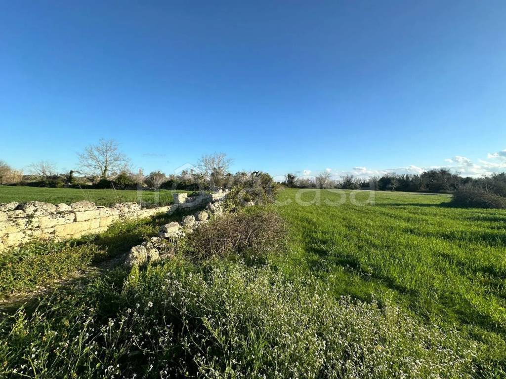 immagine annuncio 1 di 4